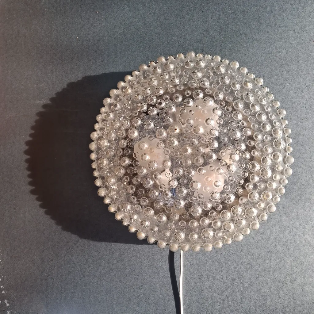 WhatsApp Image 2026-03-23 at 15.51.06.webp