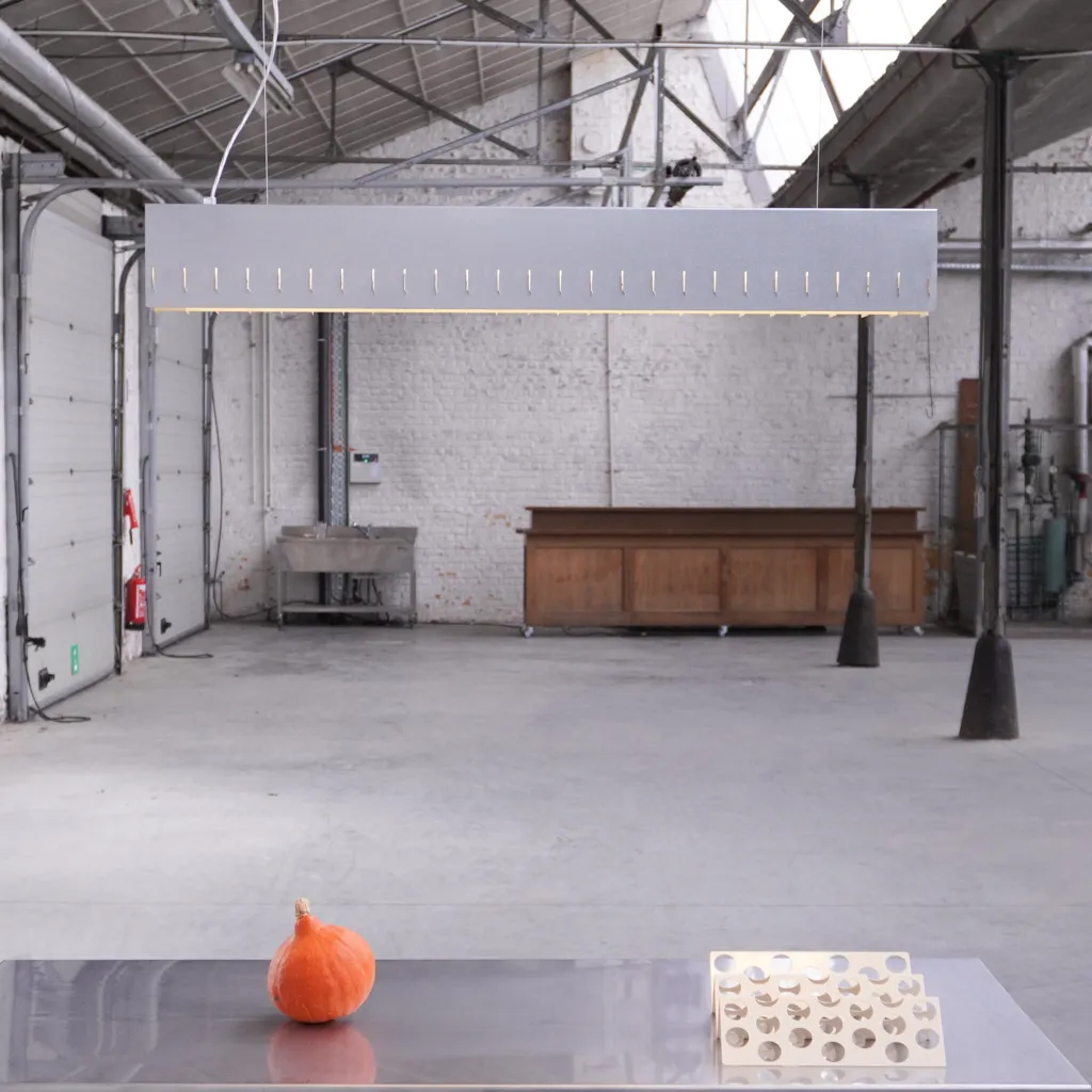 Hanging light 'Tussen' (galvanised steel)